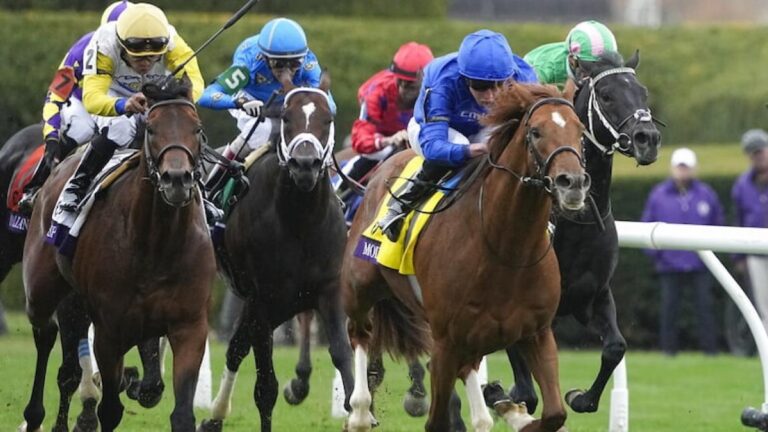 Racing Tips and Free Bets For Horse Racing